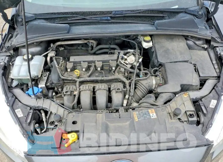 1FADP3F29JL315117 Photo# 11