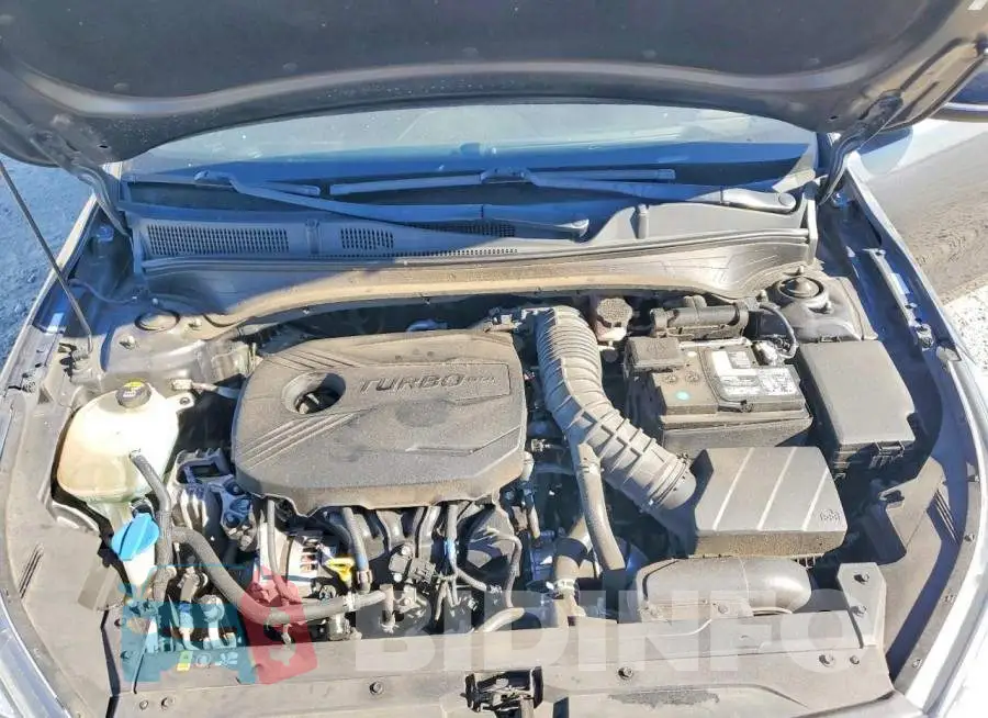 3KPF44AC1LE252799 Photo# 11