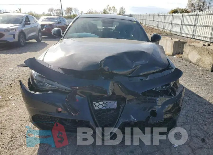 ZARFANAN3N7652985 Photo# 5