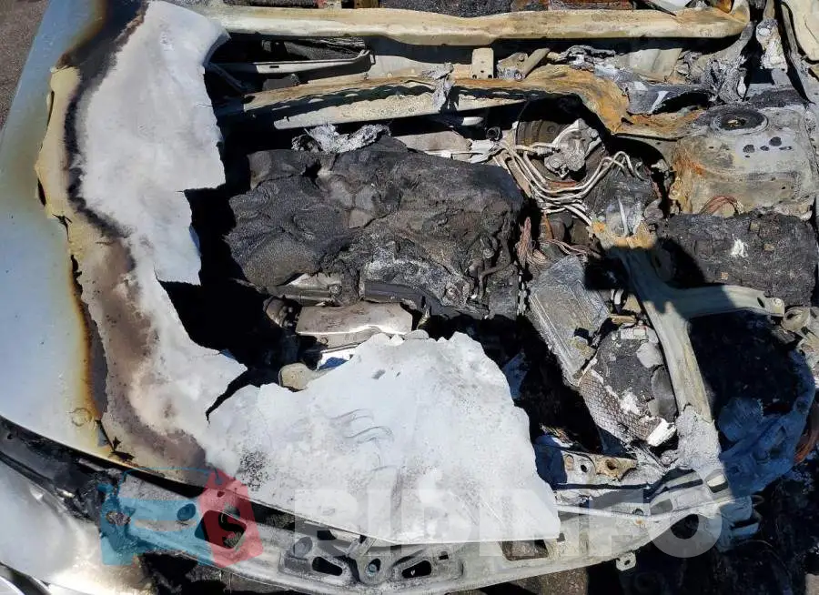 1G1ZD5ST4JF203285 Photo# 11