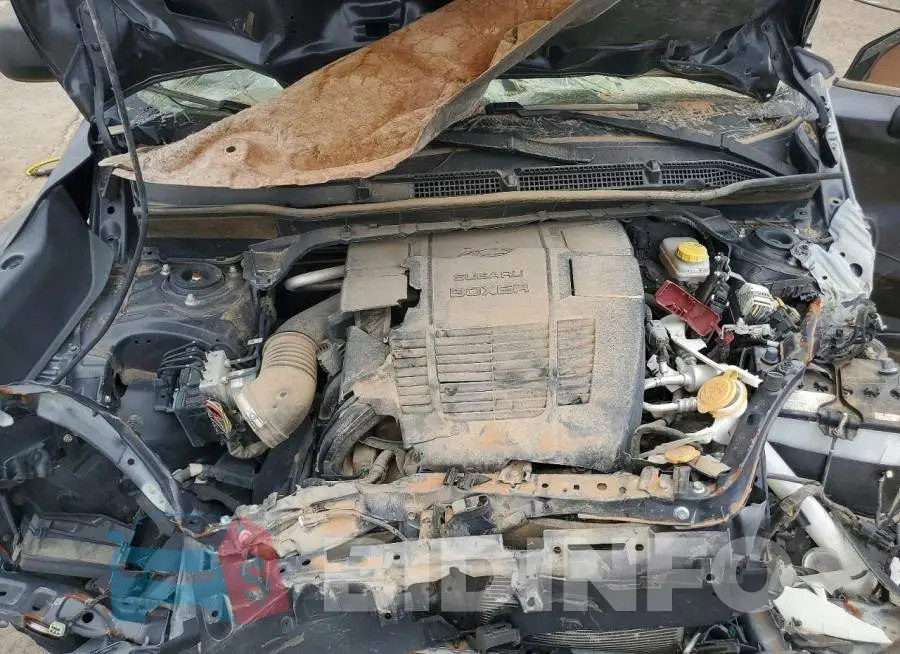 JF2SKAAC7NH461062 Photo# 12