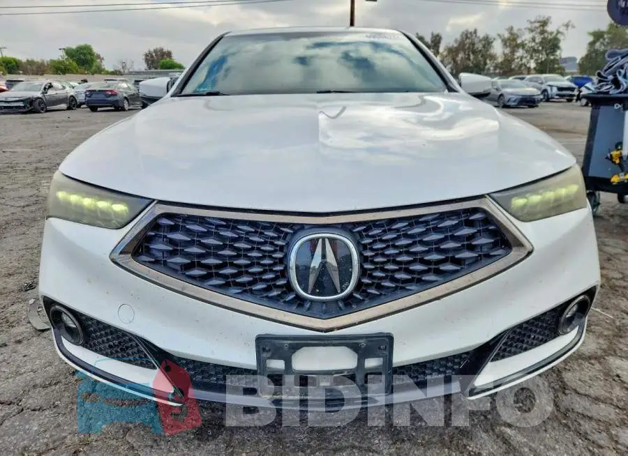 19UUB2F63KA002777 Photo# 5