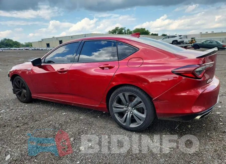 19UUB6F55MA005844 Photo# 2