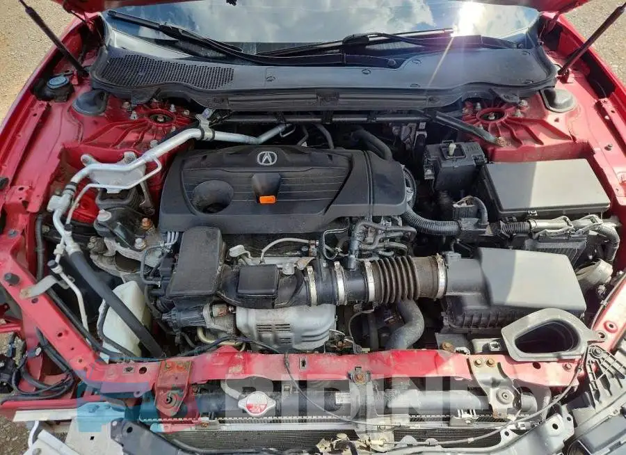 19UUB6F55MA005844 Photo# 11
