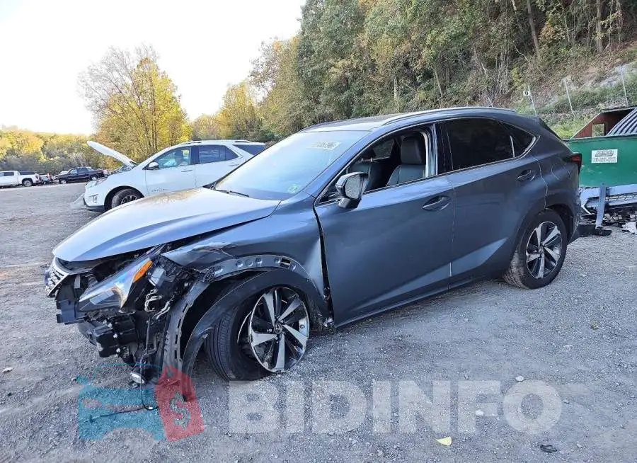 JTJGARDZ3M2241356 Photo# 1