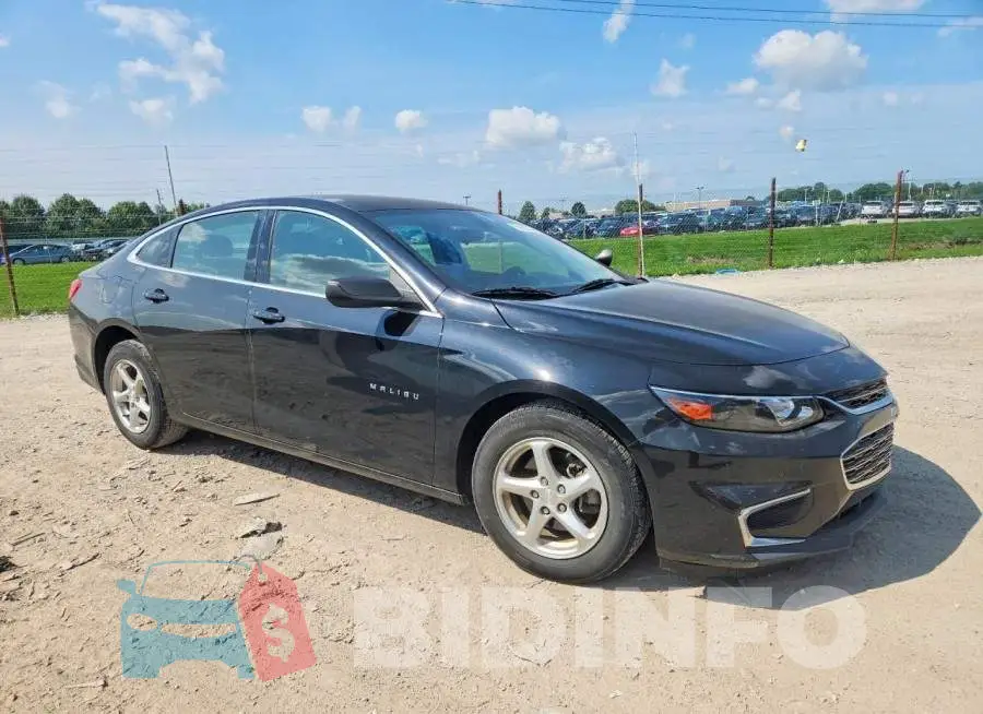 1G1ZB5ST5HF170698 Photo# 4