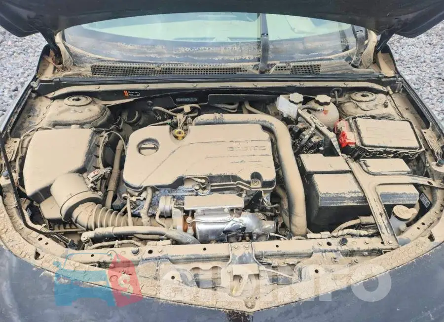 1G1ZD5ST7RF110773 Photo# 11