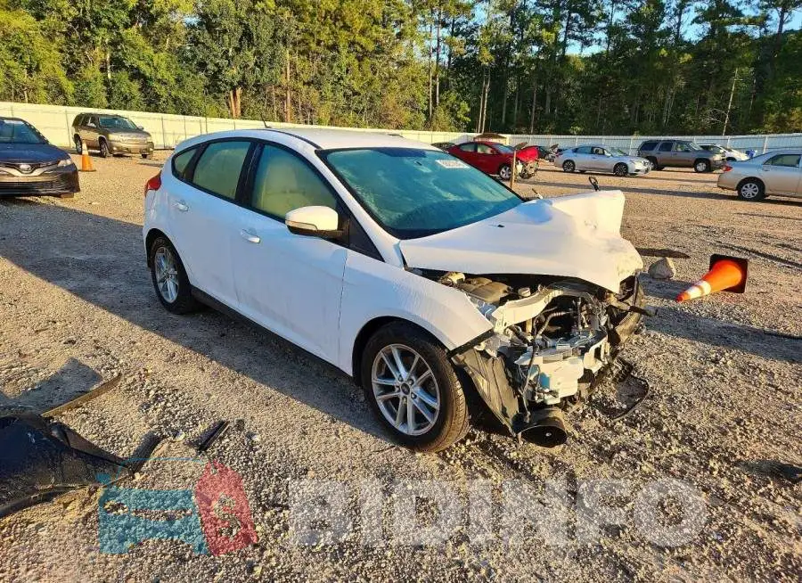 1FADP3K22HL294434 Photo# 4