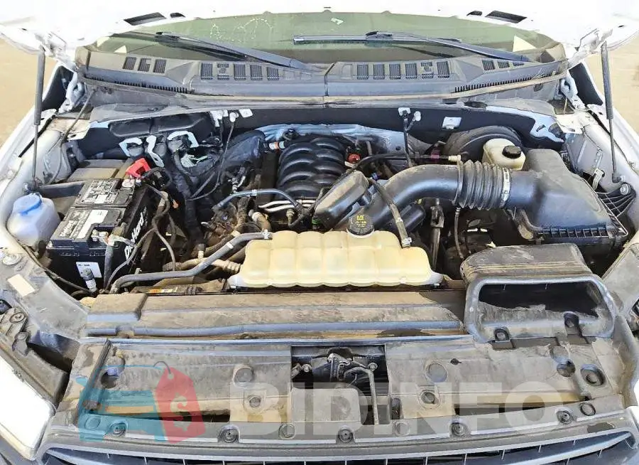 1FTEW1C59LFB75141 Photo# 11