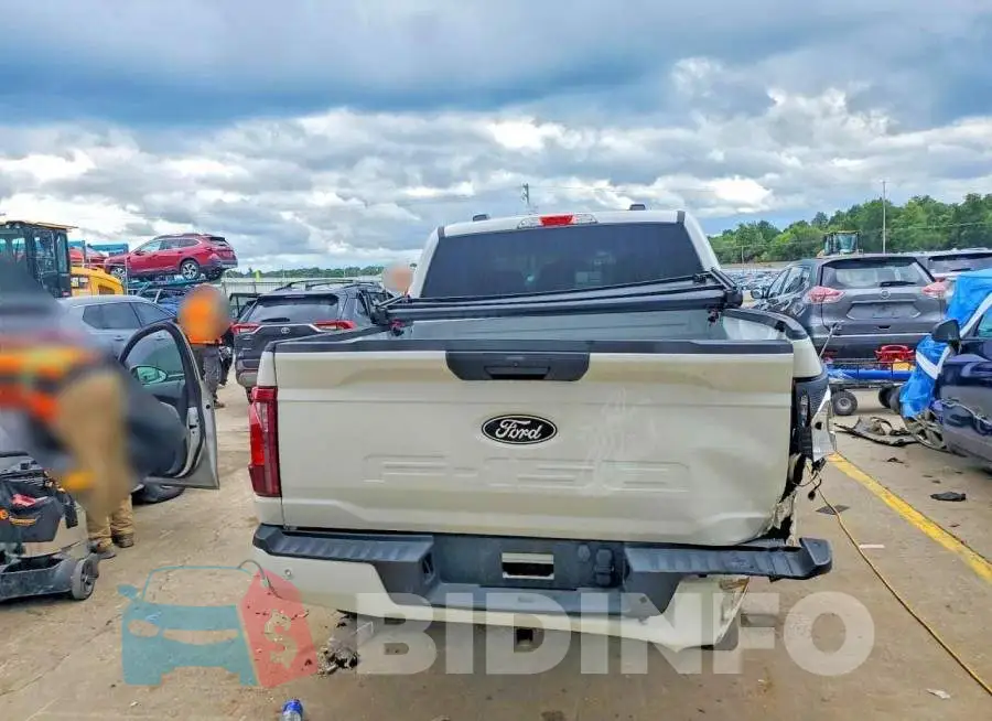1FTEW2LP1SKD64251 Photo# 6
