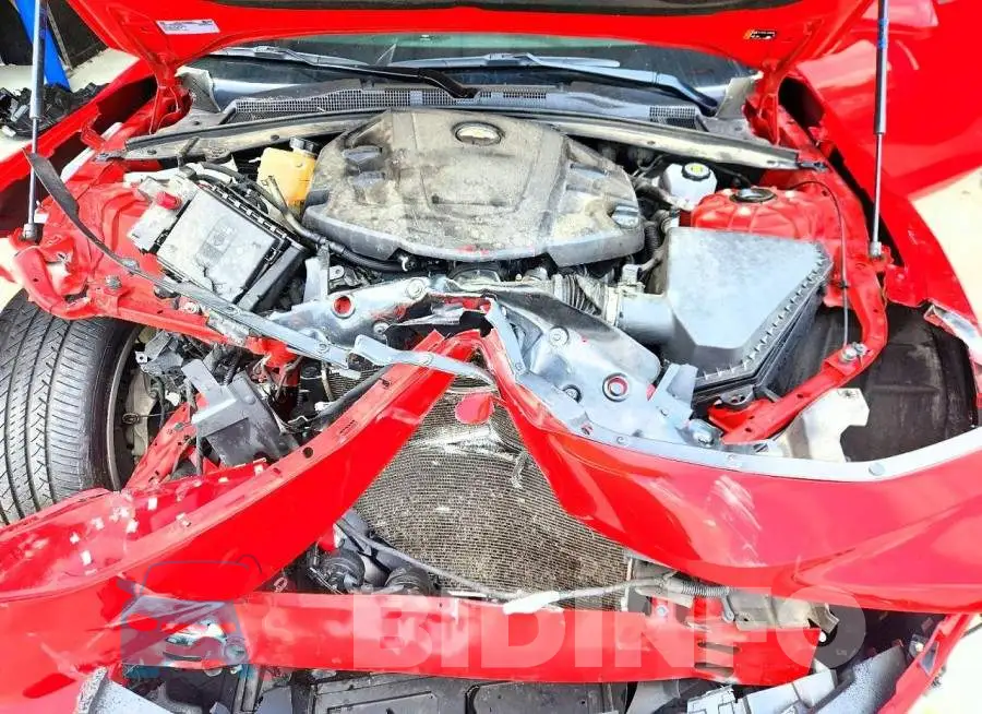 1G1FB1RS7P0158384 Photo# 11