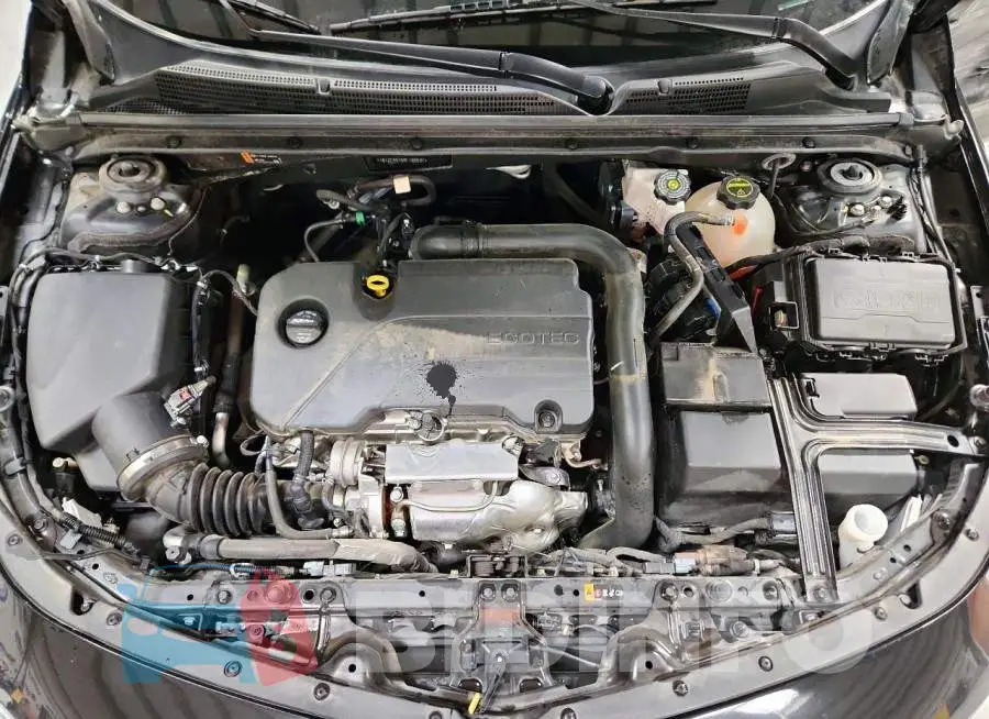 1G1ZE5ST5RF186537 Photo# 11