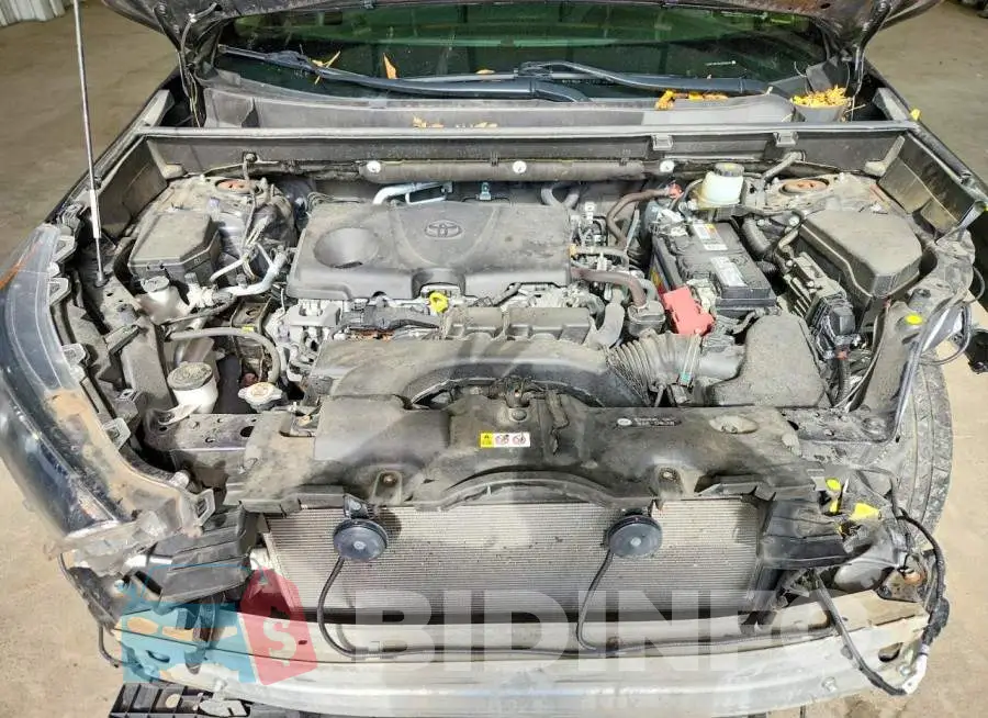 JTMF1RFV5LD058245 Photo# 12