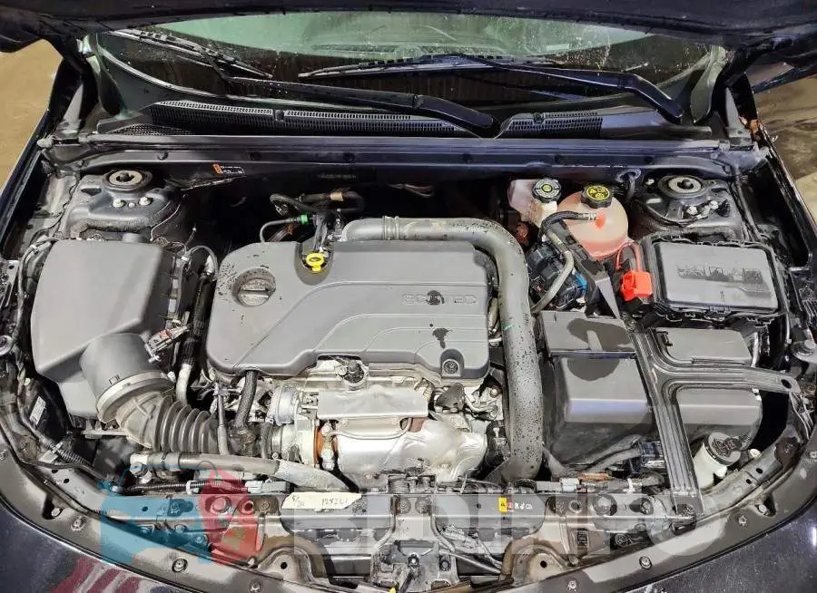 1G1ZD5ST4RF164919 Photo# 11