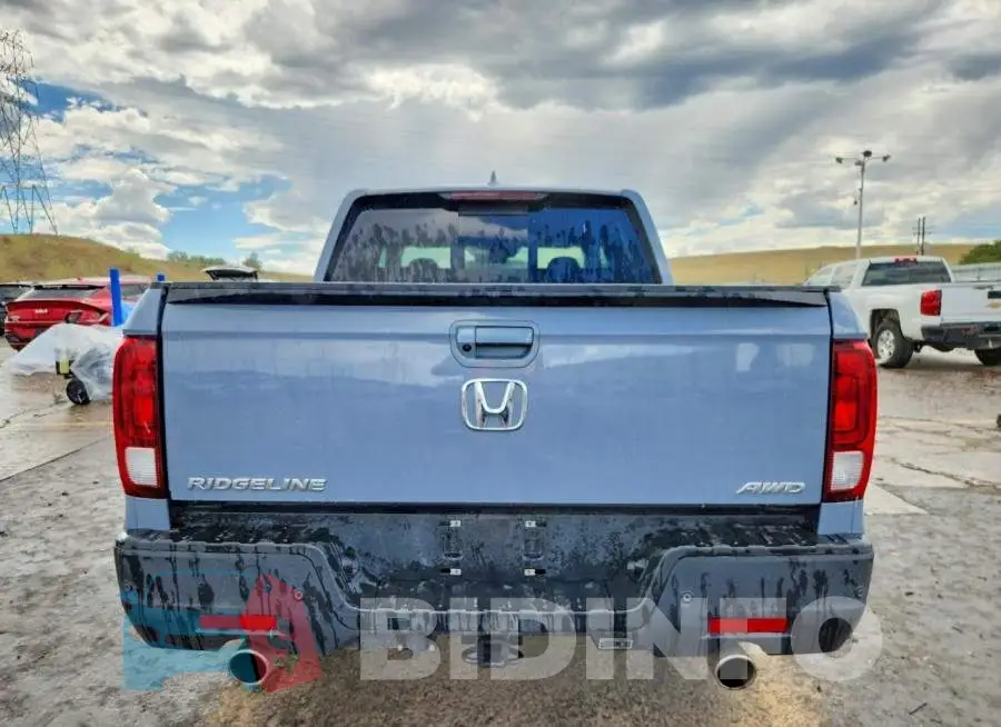 5FPYK3F71NB024407 Photo# 6