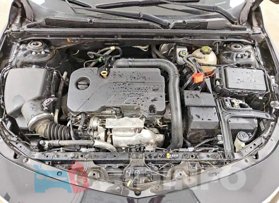 1G1ZD5ST3MF074489 Photo# 11