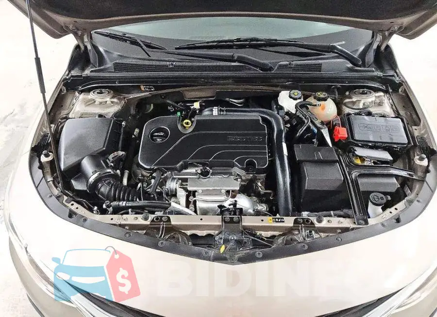 1G1ZD5ST6PF247703 Photo# 11