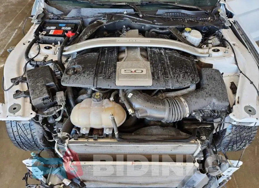 1FATP8FF6K5185721 Photo# 11