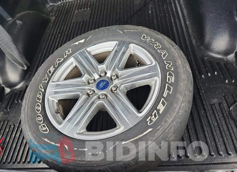 1FTEW1EP9KFB79817 Photo# 12