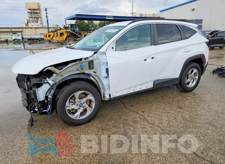 5NMJBCDE5RH297401 Photo# 1