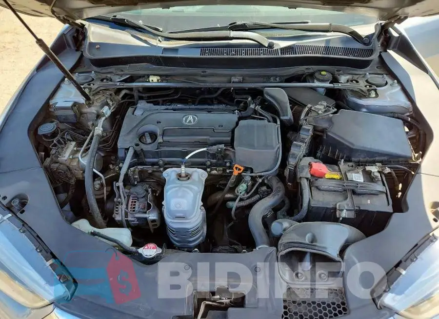 19UUB1F38JA009545 Photo# 11