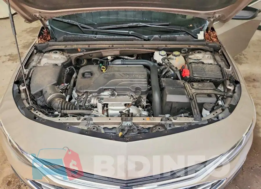 1G1ZD5ST5PF185064 Photo# 11