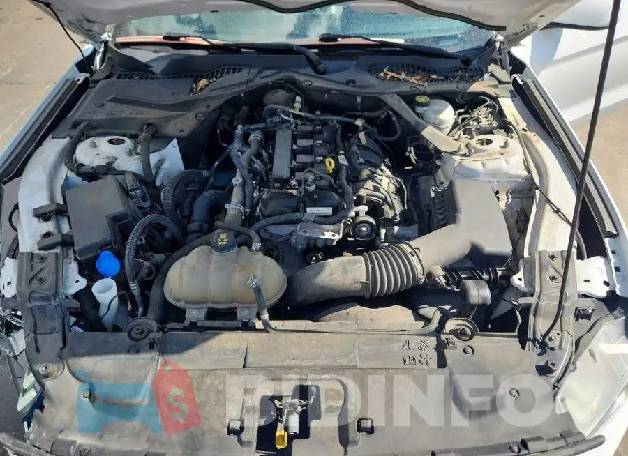 1FATP8UH5M5103744 Photo# 11