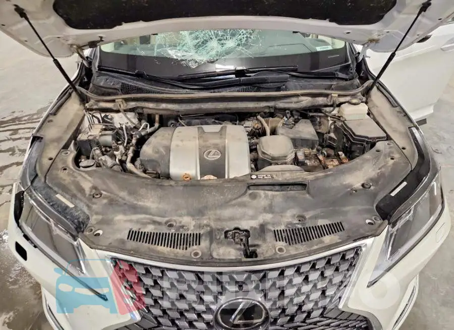 2T2HZMDA1MC273572 Photo# 12
