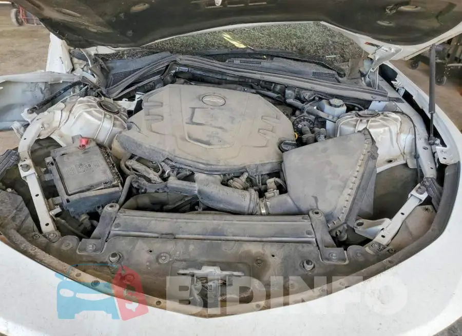 1G1FB1RS7L0135634 Photo# 11
