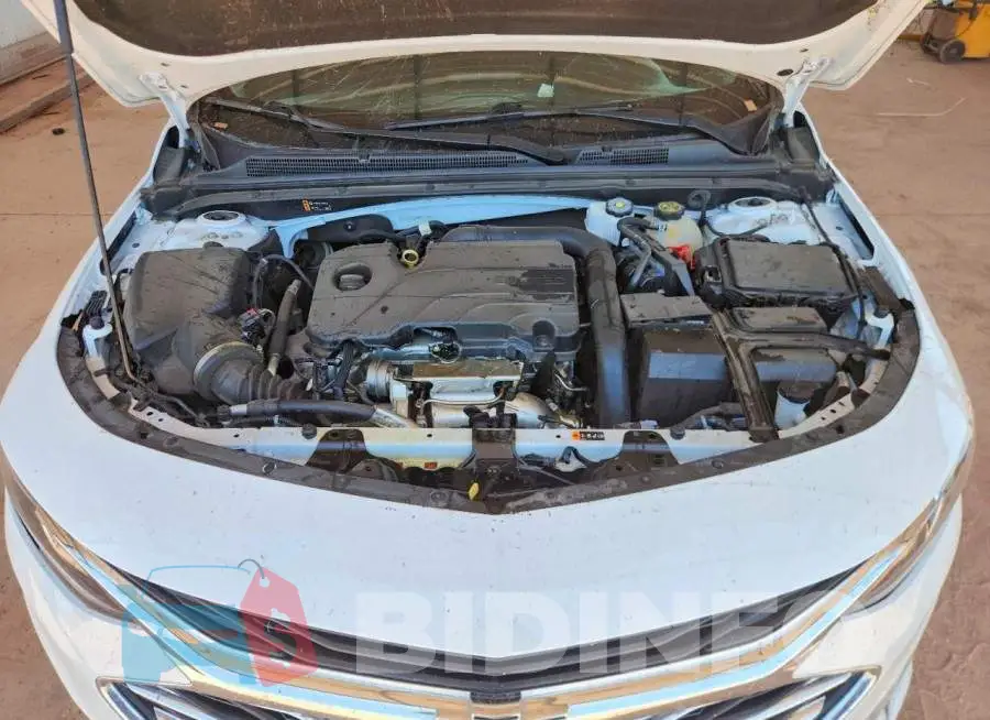 1G1ZD5ST1PF177821 Photo# 11