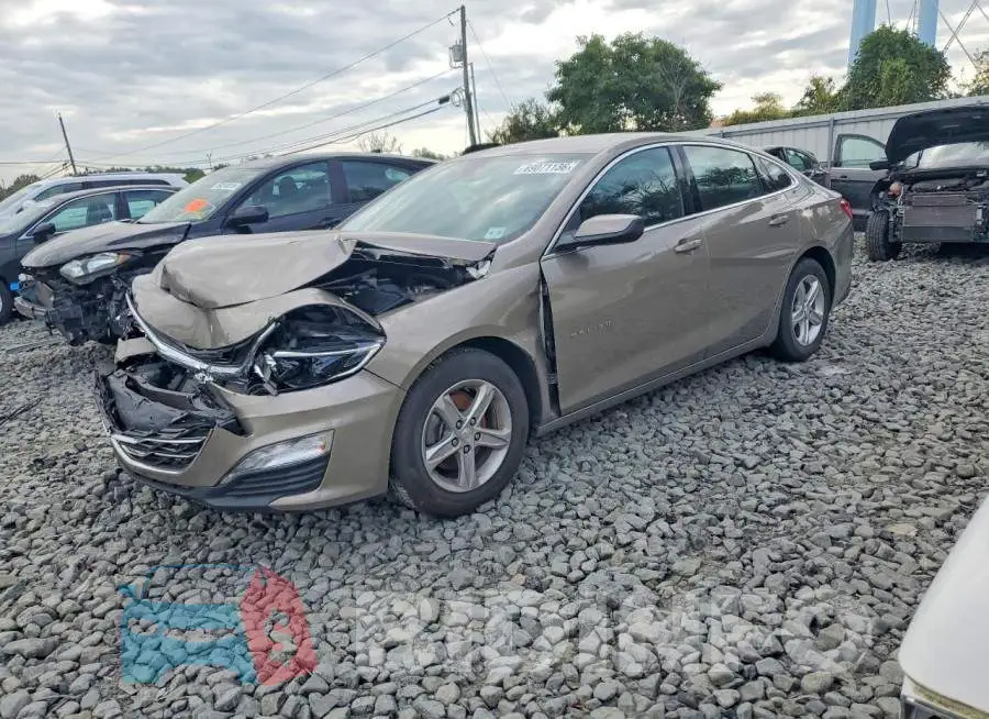 1G1ZD5ST1RF214613 Photo# 1
