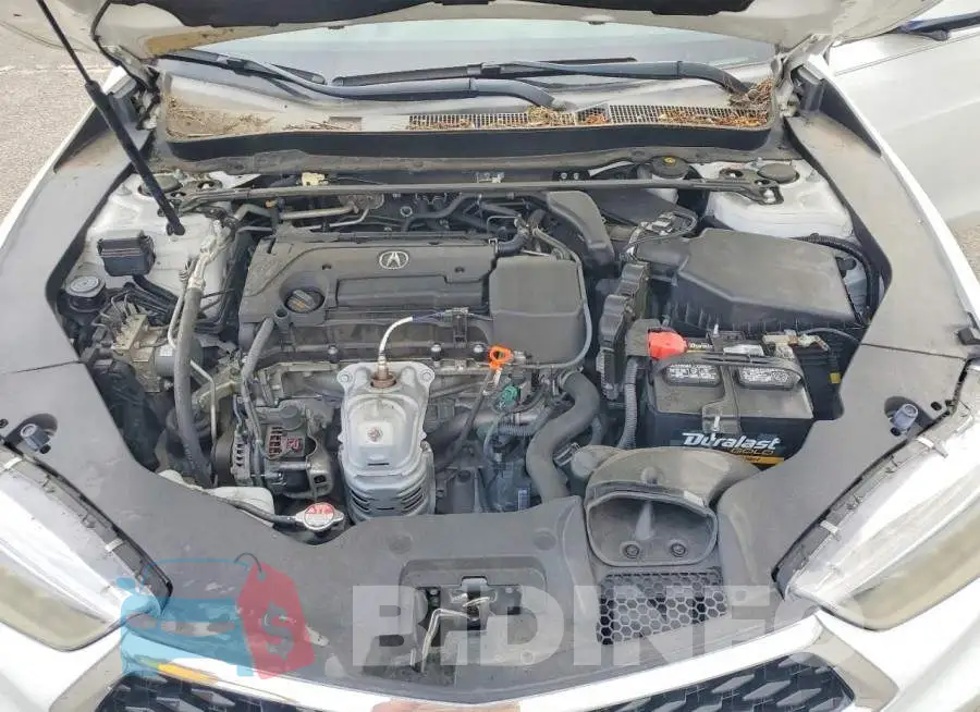 19UUB1F50KA003399 Photo# 11