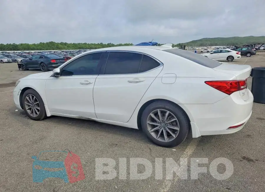 19UUB1F50KA003399 Photo# 2