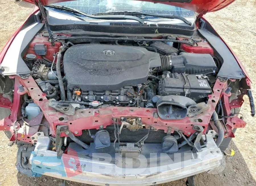19UUB3F68KA005549 Photo# 11