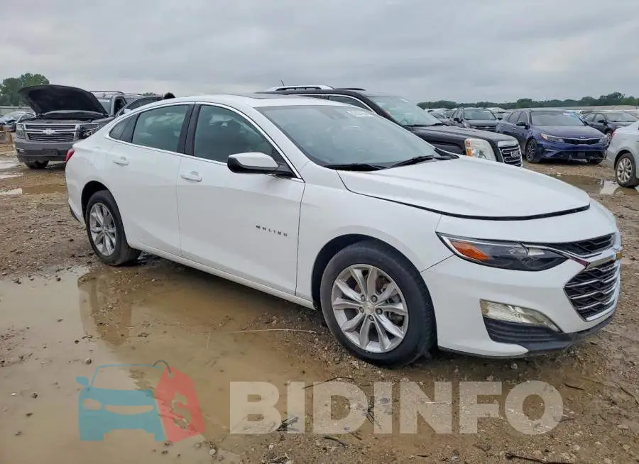 1G1ZD5ST1RF177594 Photo# 4