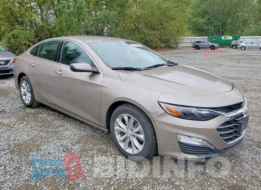 1G1ZD5ST9RF227495 Photo# 4