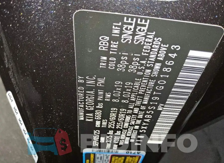 5XYAB5S19TG018643 Photo# 14