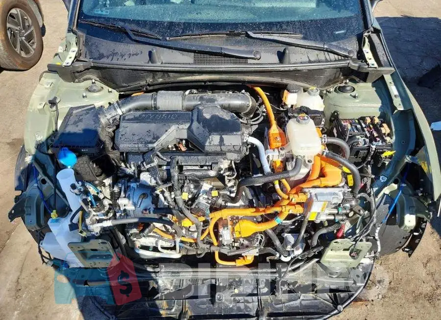 KNDPYDDH3S7279419 Photo# 12