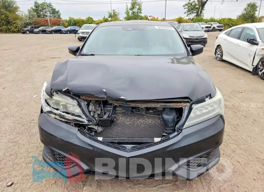 19UDE2F76HA801624 Photo# 5
