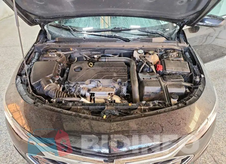 1G1ZD5ST2PF212317 Photo# 11