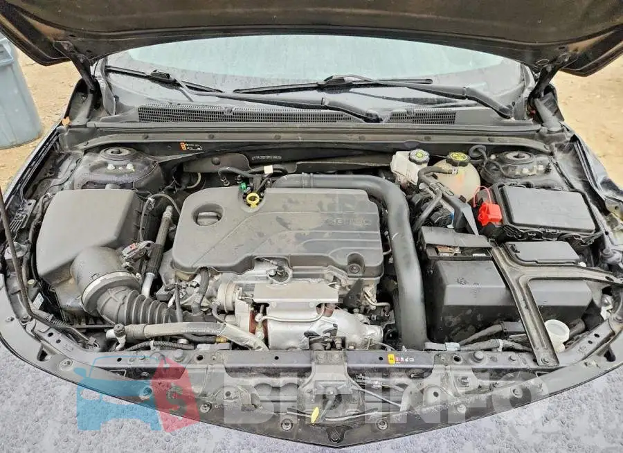 1G1ZD5ST3PF159935 Photo# 11