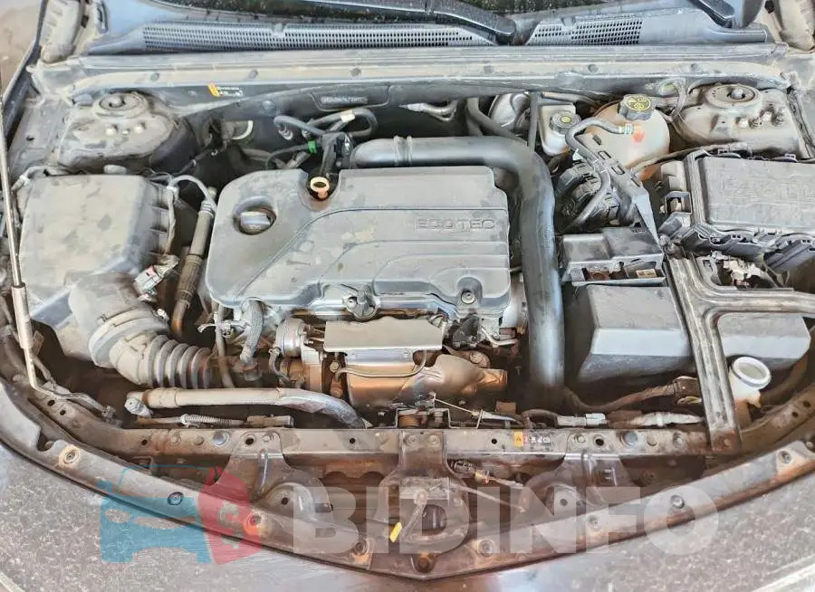 1G1ZD5ST5LF004927 Photo# 11
