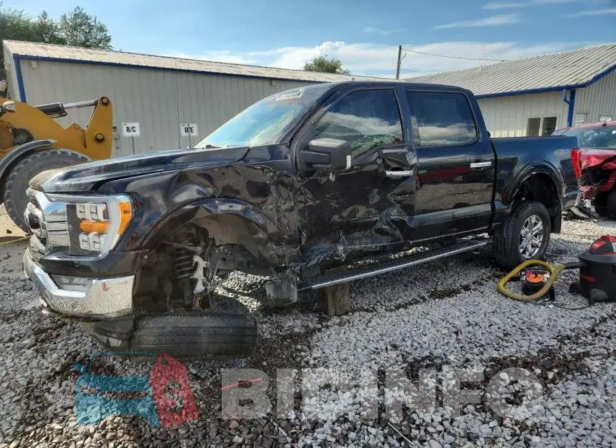 1FTEW1EP8MKD89822 Photo# 1