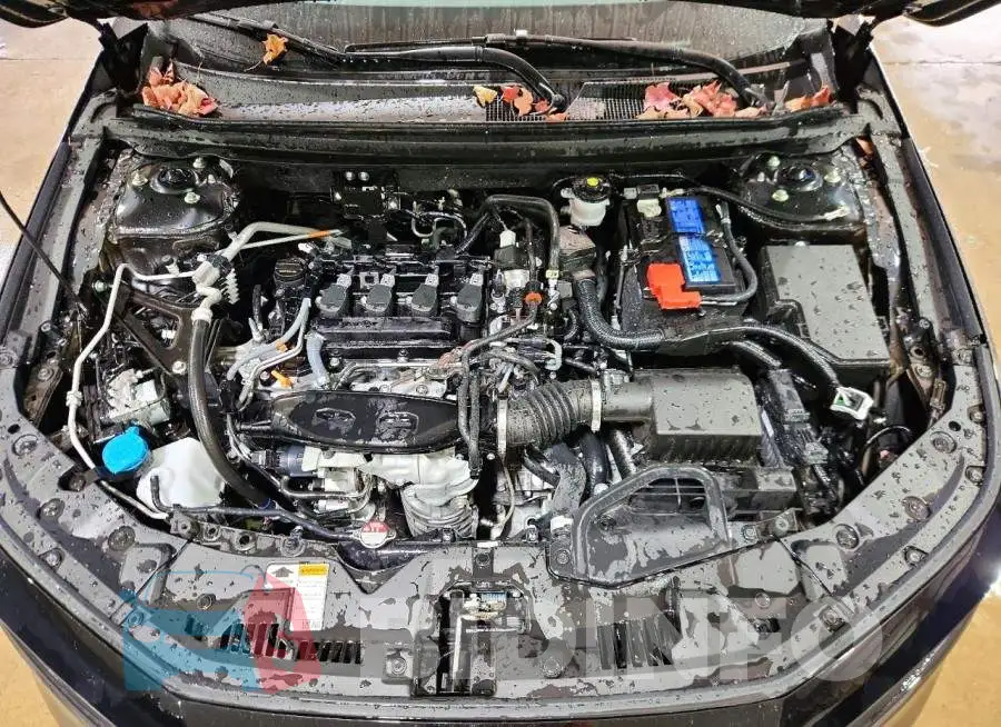 1HGCY1F43TA051918 Photo# 11