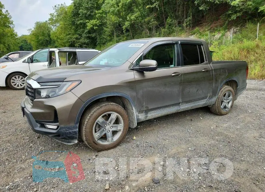 5FPYK3F59PB009719 Photo# 1