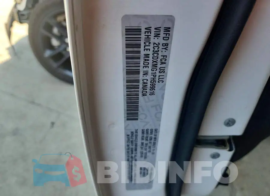 2C3CDXMG1PH599616 Photo# 12