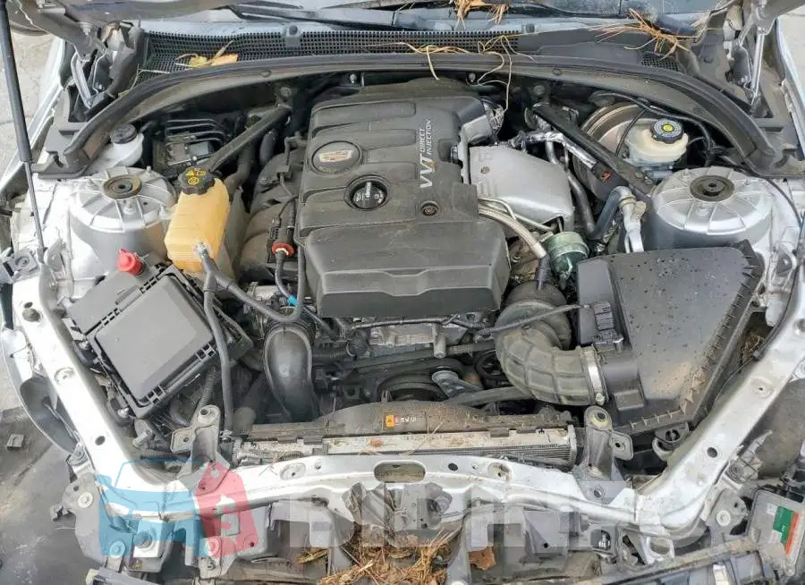 1G6AB1RX8H0118705 Photo# 11
