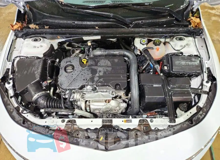 1G1ZD5ST5SF118022 Photo# 11