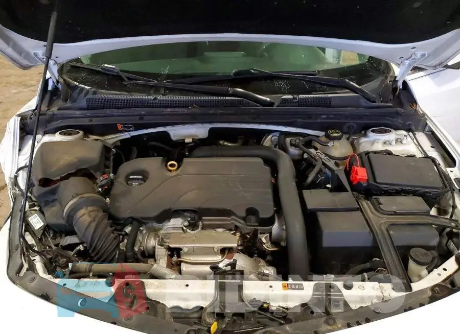 1G1ZD5ST9KF155283 Photo# 11