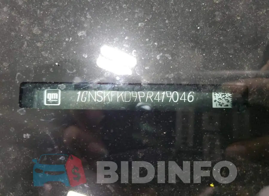 1GNSKFKD9PR419046 Photo# 13